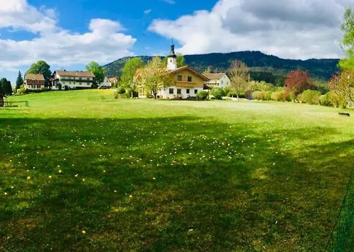 Hotel Steinbühler Hof Bad Kötzting